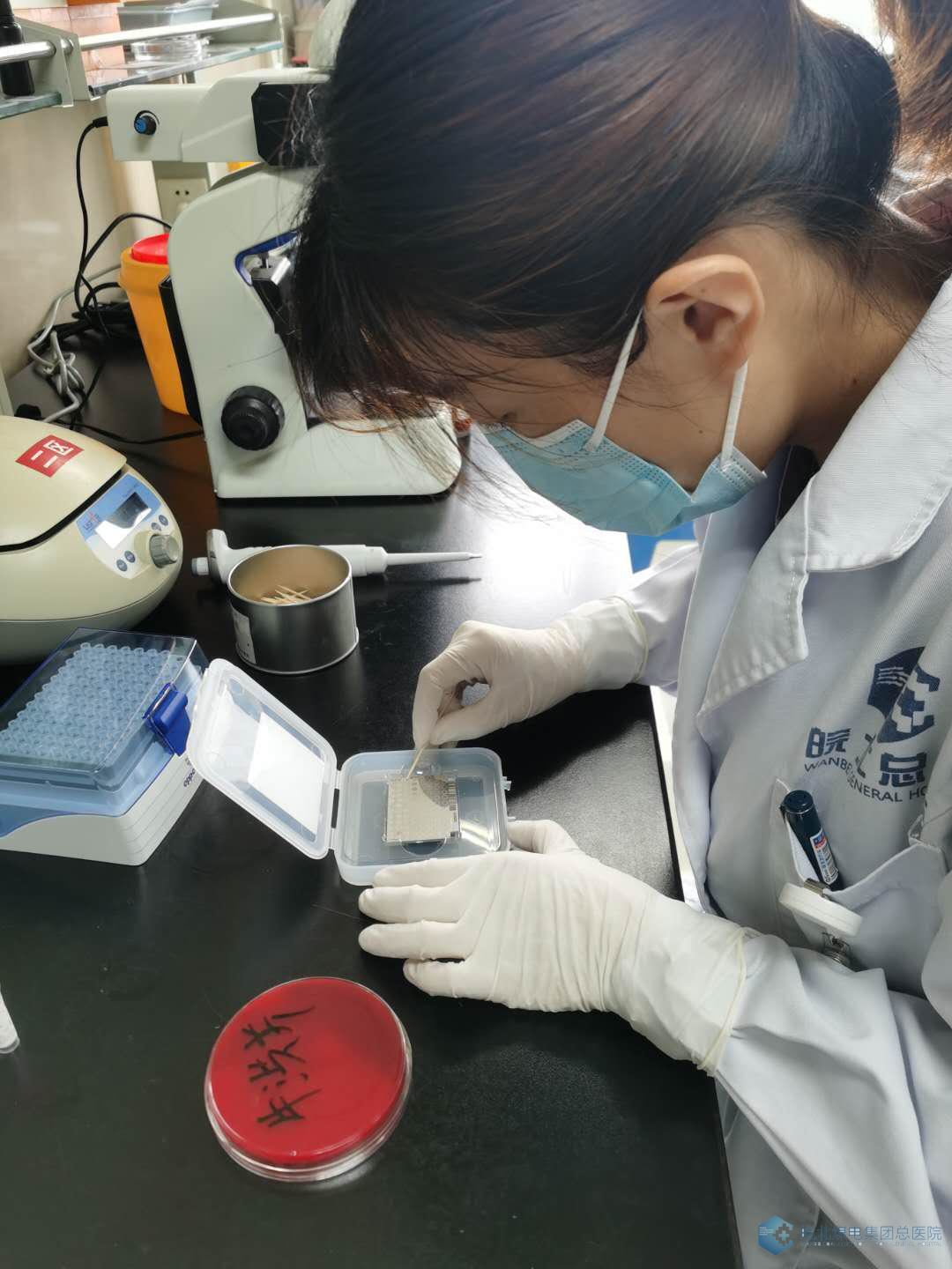 我院检验科微生物室开展细菌快速鉴定--maldi-tof ms